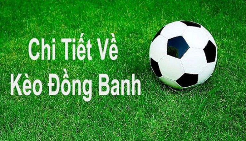 Khi nào nên chọn kèo chấp, khi nào nên chọn kèo đồng banh?