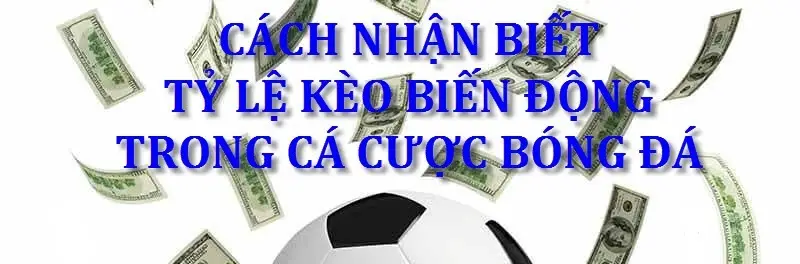 vi sao ty le keo bong da bien dong truoc gio thi dau 6867daae7b437